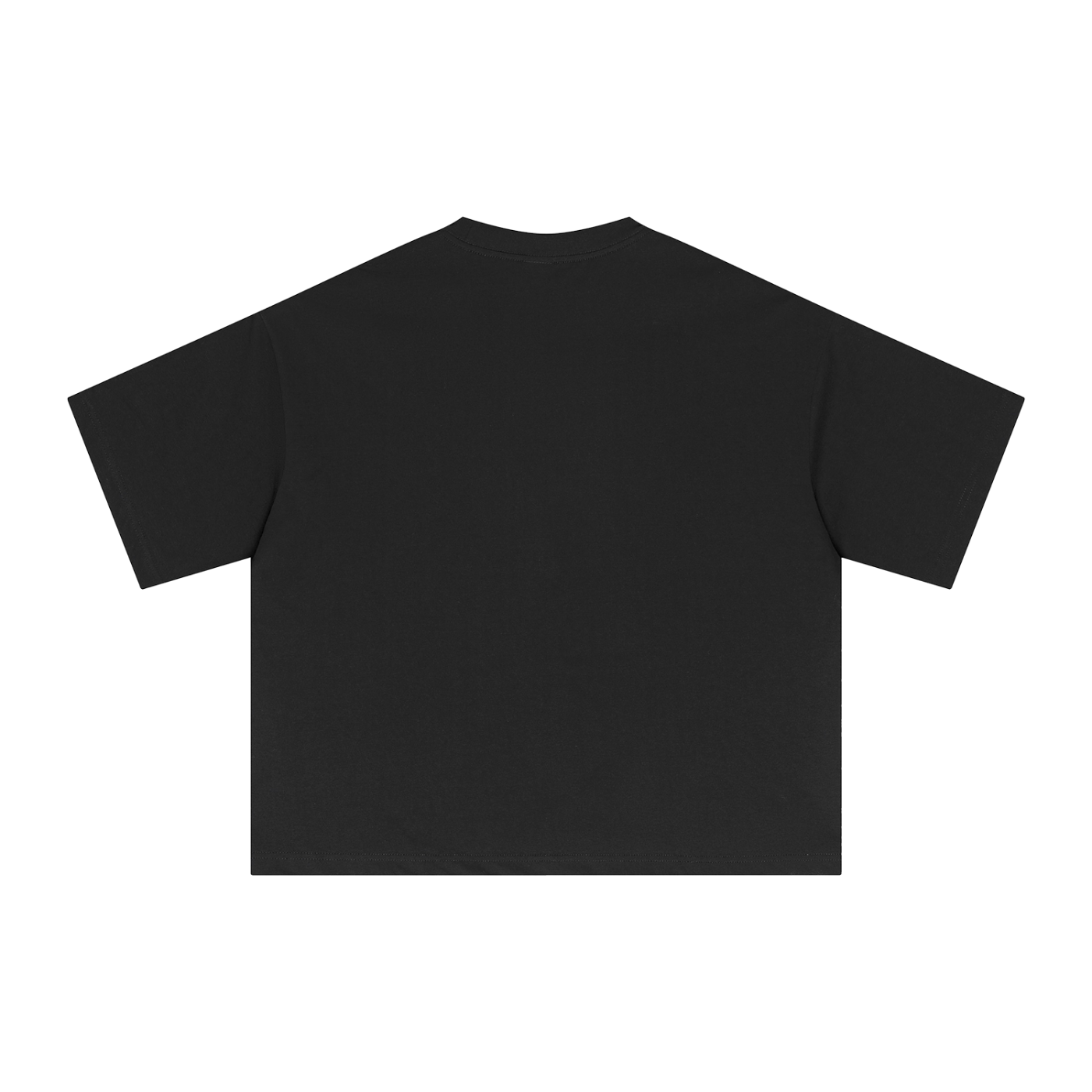 Moth Boxy T-Shirt
