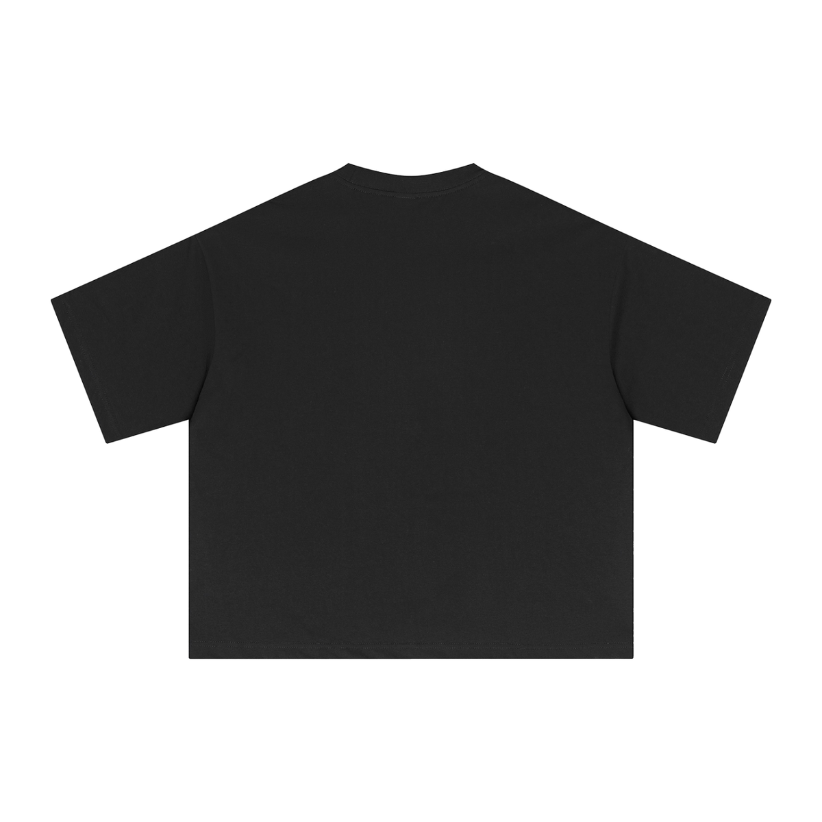 Moth Boxy T-Shirt