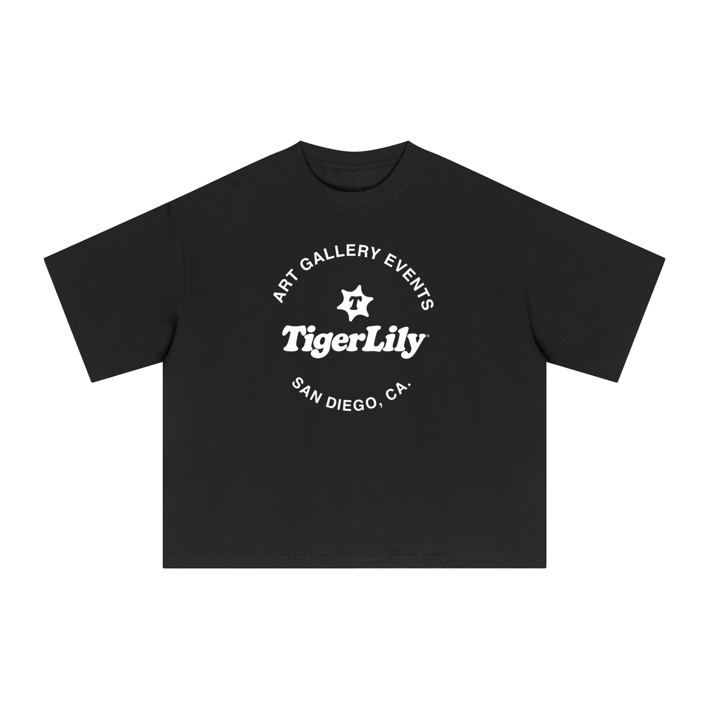 Art Gallery Boxy T-Shirt