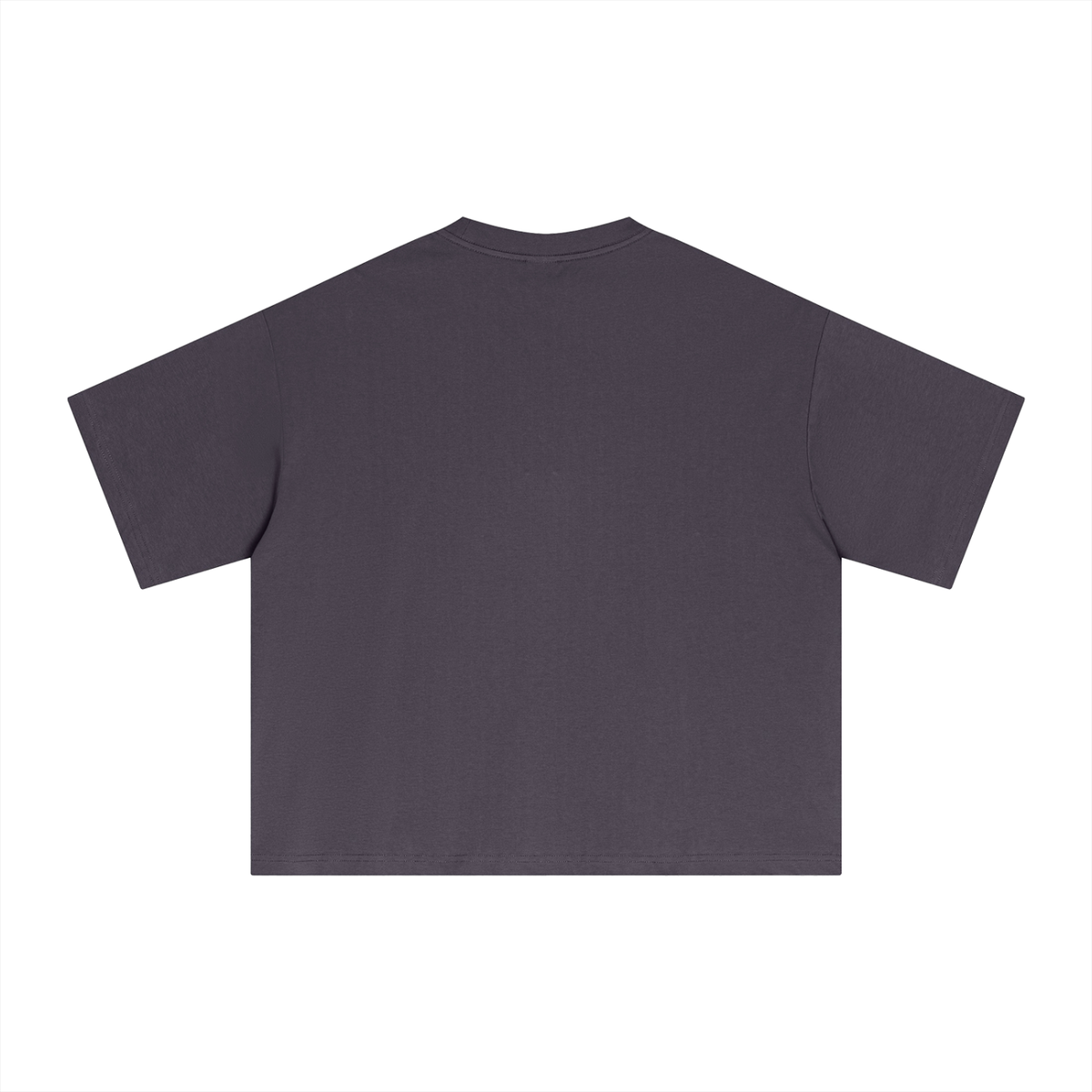 Moth Boxy T-Shirt
