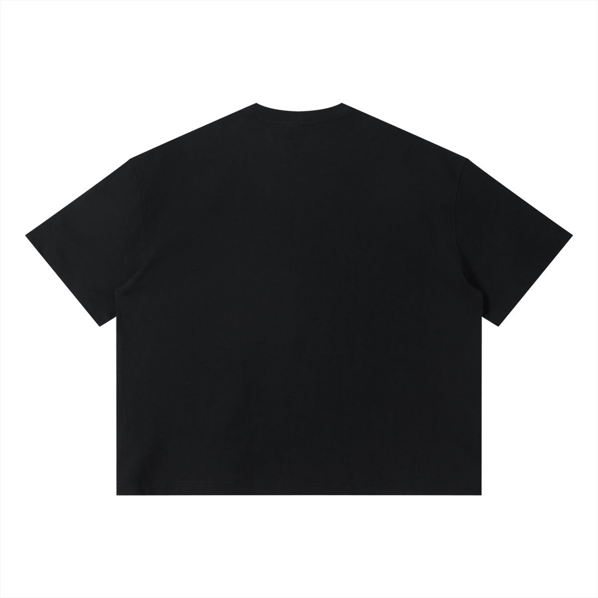 Tiger UFO Sorona Boxy T-Shirt